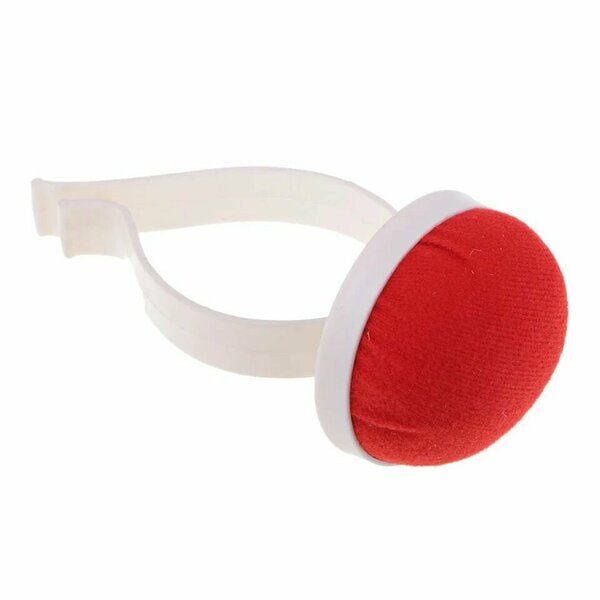 TERZİ İĞNELİĞİ İĞNEDANLIK (1 AD)