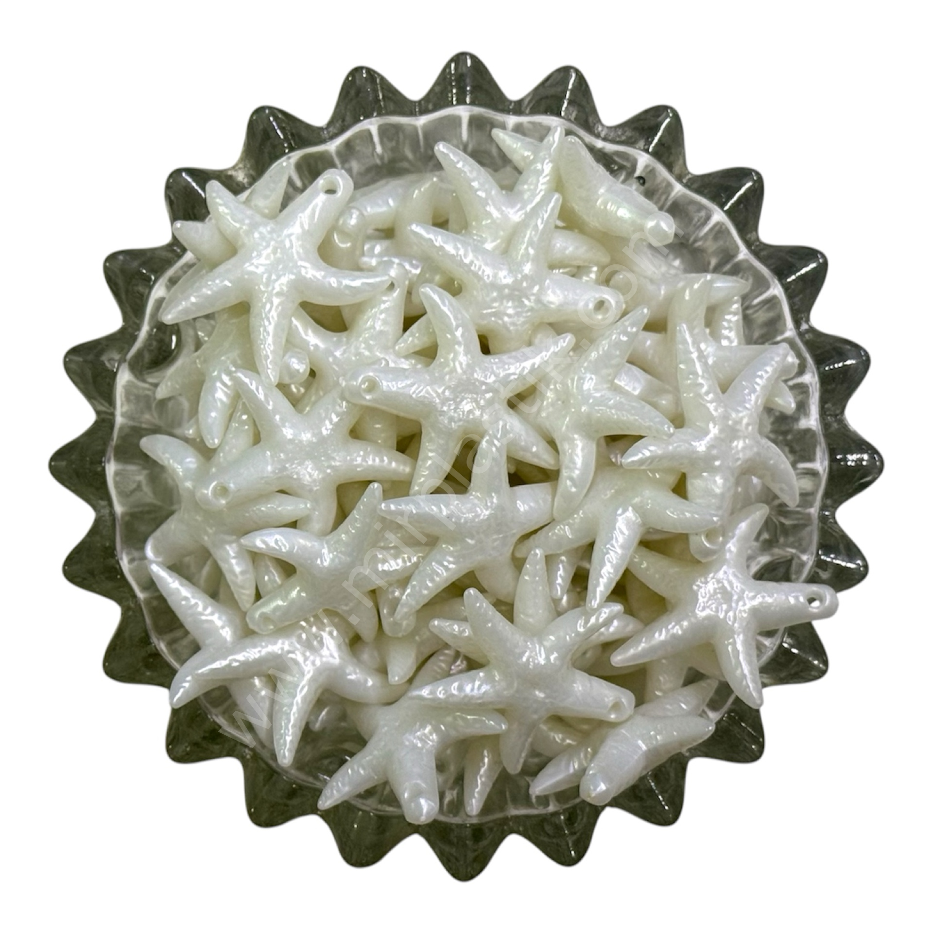 DENİZ YILDIZI 4,5 CM BONCUK 1 KG