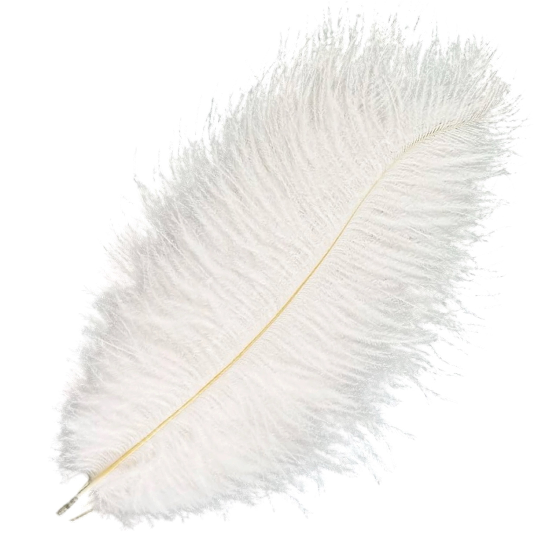 DEVE KUŞU TÜYÜ 40 - 45 CM (10 ADET)