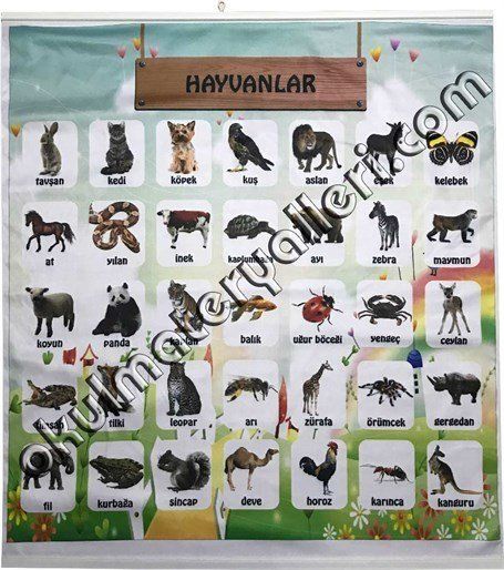 Hayvanlar eğitim panosu