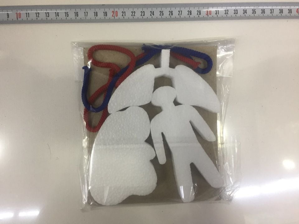 DOLAŞIM SİSTEMİ 20 'Lİ (1 PAKET)