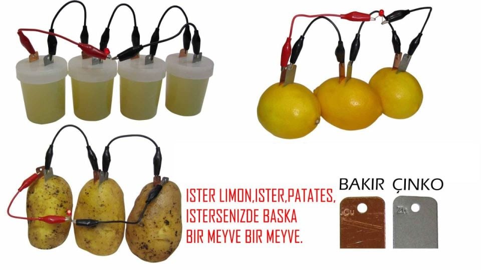 LİMON DENEY SETİ (1 ADET)