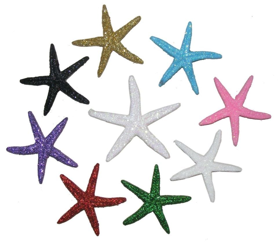 ORTA DENİZ YILDIZI (50 Adet)