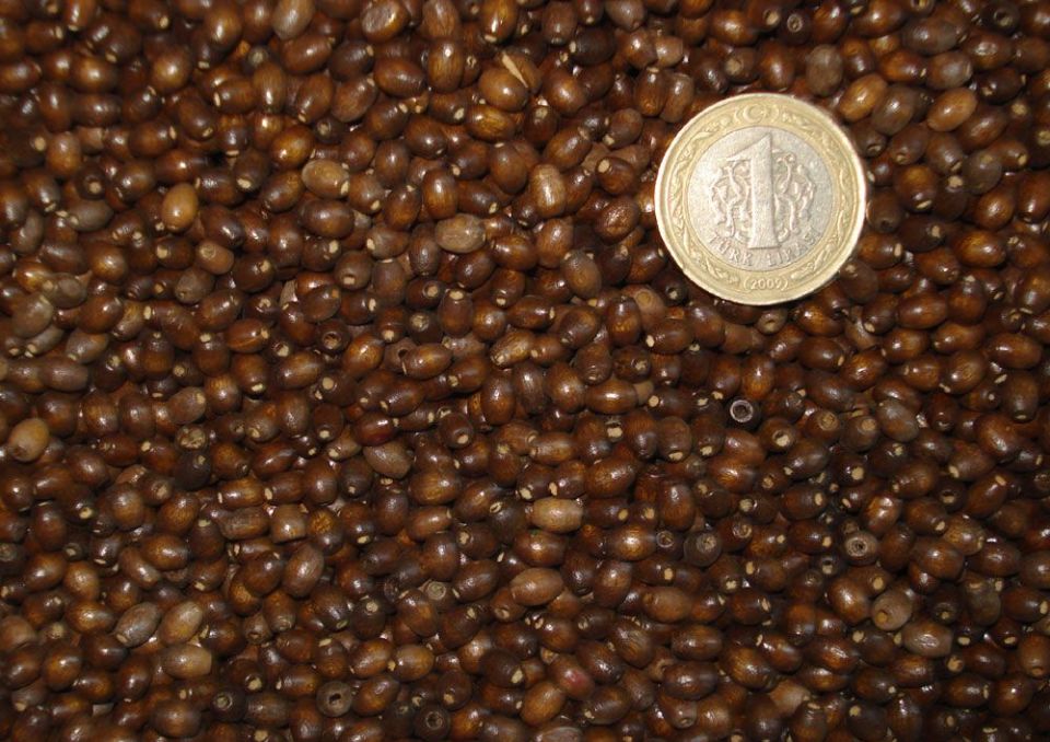 TAHTA ARPA BONCUK 5 MM 1 KG