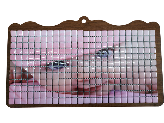 RESİMLİ CAM MOZAİK 2 AY ÇİÇEĞİ MODELİ