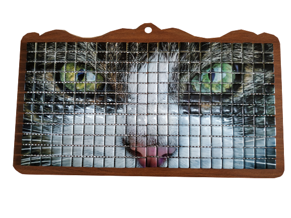 RESİMLİ CAM MOZAİK 2 KEDİ MODELİ