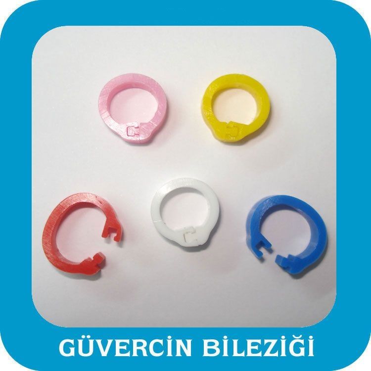 KUŞ KLİPSİ (GÜVERCİN BİLEZİĞİ) (1000 AD) KARIŞIK