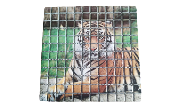 RESİMLİ CAM MOZAİK 11 KÖPEK BALIĞI MODELİ